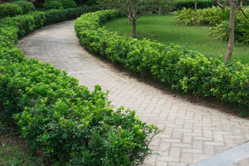 Natural Stone Paver Pathway